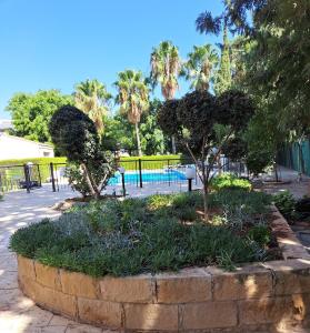 Un jardín con árboles y una piscina al fondo. en Flat111-Adults only, en Limassol