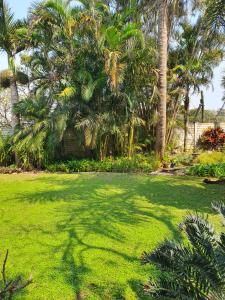 um quintal com relva verde e palmeiras em Weekend Vikings em Port Shepstone