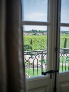 a view from a window looking out at a vineyard at La Maison de Jacqueline in Vosne-Romanée