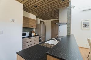 cocina con encimera negra y techos de madera en マークヴィラ諏訪湖 siteA en Shimo-suwa