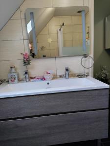a bathroom sink with a large mirror above it at Colette Alain Maxime in Lapalisse