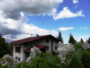 una casa con fiori bianchi di fronte di Gästehaus Apschner a Sankt Corona am Wechsel