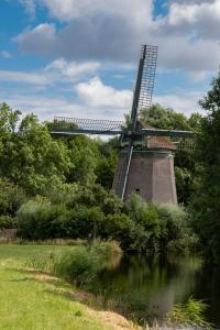 eine Windmühle auf einem Feld neben einem Fluss in der Unterkunft Hotelhuisjes Aartswoud in Aartswoud