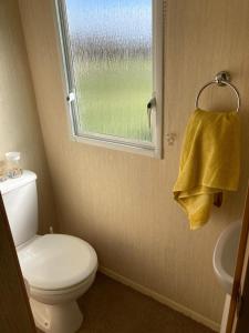 a bathroom with a white toilet and a window at 367 Caravan in Stevenston