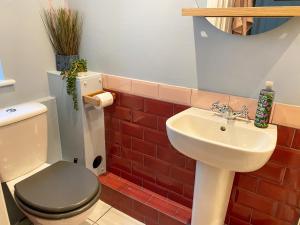 a bathroom with a toilet and a sink at The Garden Flat in Exmouth