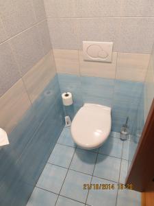 a bathroom with a toilet in a blue tiled room at Penzion U Splavu in Břeclav