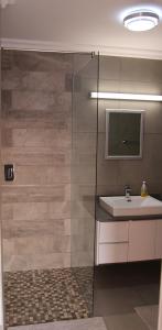 a bathroom with a sink and a glass shower at Atlantic Dunes Unit 10, Self Catering in Rand Rifles