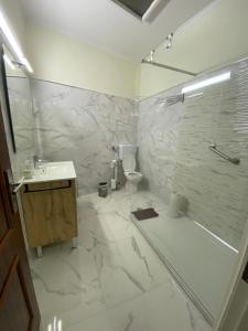 a bathroom with a sink and a toilet and a shower at Al Boa Passagem in Peso da Régua