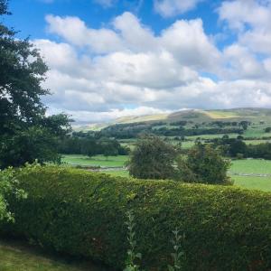 a hedge with a view of the rolling hills at The Hut in the Orchard @ Yorecroft in Aysgarth