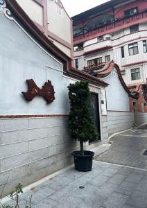 a small tree in a pot next to a building at Xinqin B&B - City Area in Jincheng