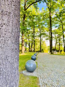 O grădină în afara Navigator Hotel i Konferencje +54 fotografii