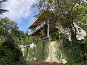 a building with ivy on the side of it at Jungle Villa copa de árbol, oceanview, infinity in Montezuma
