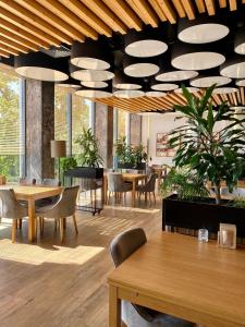 um restaurante com mesas e cadeiras e um tecto com luzes em Navigator Hotel i Konferencje em Zbąszyń