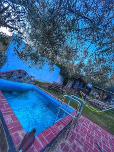 una piscina con un pájaro sentado al lado en Zeytindağı bungalow, en Mehmetalanı