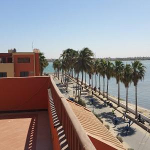 vista su una spiaggia con palme e sull'oceano di Hôtel La Palmeraie Saint Louis Sénégal a Saint-Louis