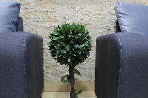 Posezení v ubytování Hotel Marllou
