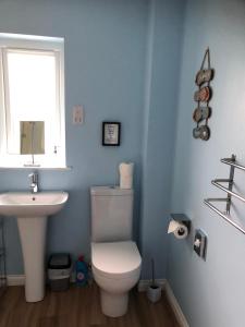 a bathroom with a toilet and a sink and a window at Loch Caroy Bay Cottage in Ose