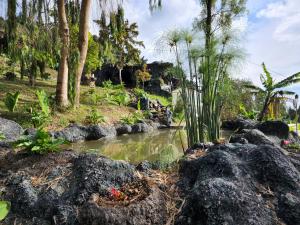 un jardin avec des rochers, des arbres et un étang dans l'établissement Glamping Spa & Coffee Tour, à Medellín