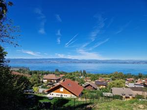 a view of a town with a lake at La Colonie in Publier