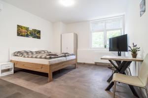 TV a/nebo společenská místnost v ubytování Apartmány U Jiříka