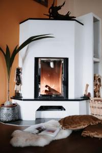 sala de estar con chimenea y TV en Astegg, Apart, en Finkenberg