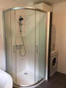 ducha con puerta de cristal junto a una lavadora en Astegg, Apart, en Finkenberg