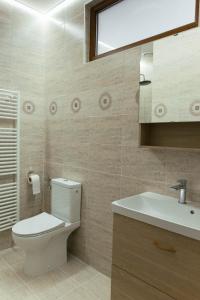 y baño con aseo, lavabo y espejo. en Cozy apartment on the picturesque Niraj Valley, en Păsăreni