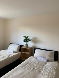 una camera con due letti e una pianta in vaso di City Centre Penthouse a Southampton