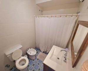 La salle de bains est pourvue de toilettes et d'un lavabo. dans l'établissement Apart Esperanza, à Esperanza