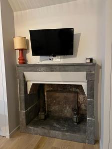 Televízia a/alebo spoločenská miestnosť v ubytovaní Lucas II Appartement 35 m2 Hôtel Particulier XVII ieme siècle Centre Historique Clermont-Ferrand cathédrale