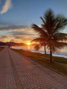 eine Palme neben einem Strand mit Sonnenuntergang in der Unterkunft Pousada Recanto Som do Mar in Caraguatatuba