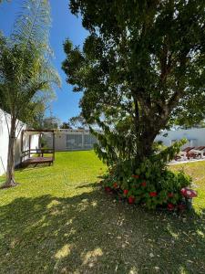 ein Baum mit roten Blüten in einem Hof in der Unterkunft Hermosa quinta para disfrutar del lugar in Laguna Brava + 8 Fotos