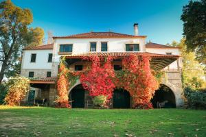 a large house with ivy on the front of it at Lugar da Pedra Alta - B&B - Private Historical Villa in Melo