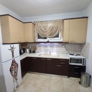 kuchnia z żyrafą stojącą w kuchni w obiekcie PUZZLE SWEET HOME w mieście Seres