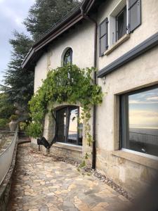 un edificio con una finestra con viti sopra di Panoramic Room in the vineyard,stunning views of lake and Alps a Puidoux