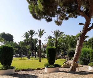 A garden outside Pink Lake