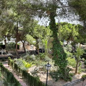A garden outside Pink Lake