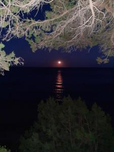 a moonlit view of a lake at night at Luna e Mare in Cala Gonone