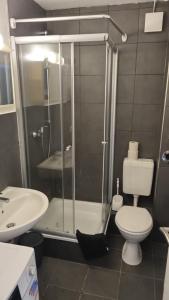 a bathroom with a shower and a toilet and a sink at Stadtnah an der Förde 7 HH L EG in Flensburg