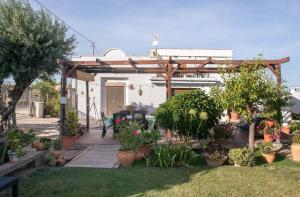 un jardín con pérgola de madera y plantas en Ca Emma, en Mahuella