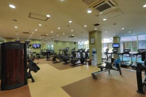 Fitness centrum a/nebo fitness zařízení v ubytování Harmony Hotel