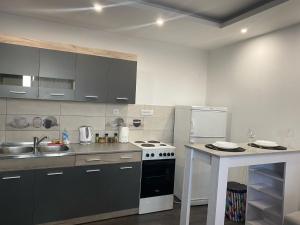 Foto dalla galleria di Apartman Mici a Niš