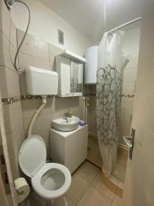 a small bathroom with a toilet and a sink at Apartman Mici in Niš