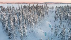 an aerial view of a snow covered forest with snow covered trees at Pandomes Aurora Igloo Hotel in Rovaniemi