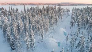 Aurora Igloo Fireplace-heated Tents in a secret forest with private Jacuzzi and shared sauna bathroom and dog friendly talvel
