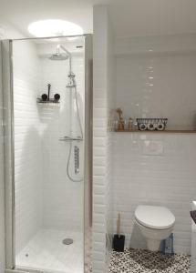 a white bathroom with a shower and a toilet at La suite d'Arches in Charleville-Mézières +16 photos