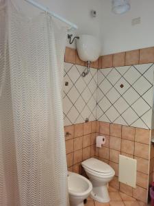 La salle de bains est pourvue de toilettes et d'un rideau de douche. dans l'établissement La casa di Ilenia e Alessia, à Piana di Caiazzo