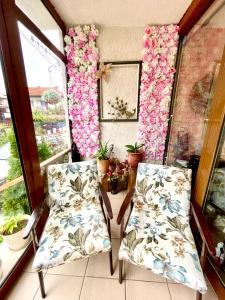 サパレヴァ・バニャにあるFamily Hotel Carpe Diemの壁に花が飾られた部屋の椅子2脚