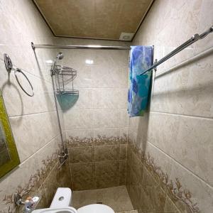 a bathroom with a shower stall with a toilet at Hotel Mohina in Samarkand