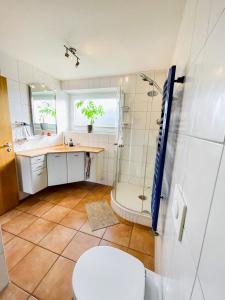 a bathroom with a shower and a sink and a toilet at Zwischen Wolfsburg, Tankumsee und Ilkerbruch - Apartment im Boldecker Land in Osloß